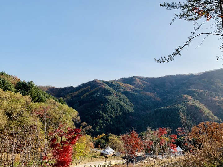 가을