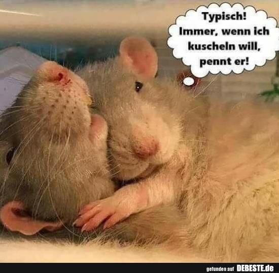 Kommt mir bekannt vor! :()