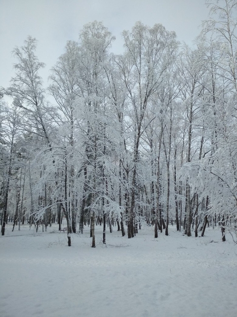 Winter