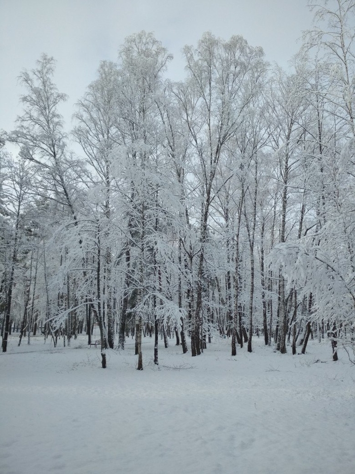 Winter