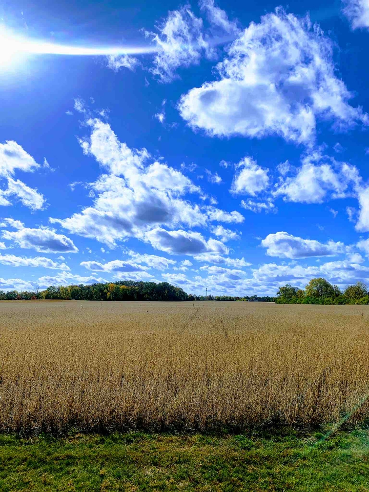 Blue Sky Serenity