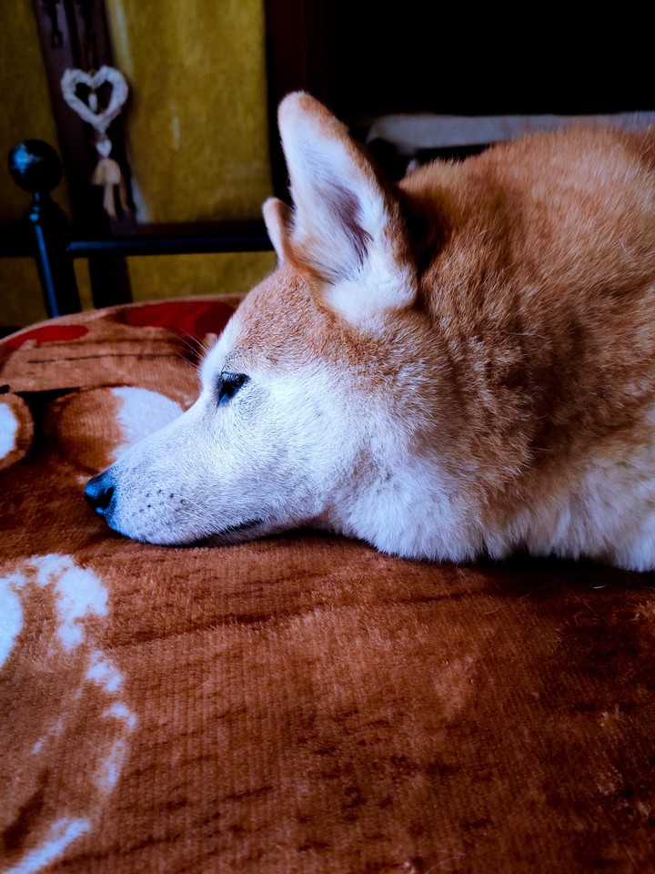 sleepy