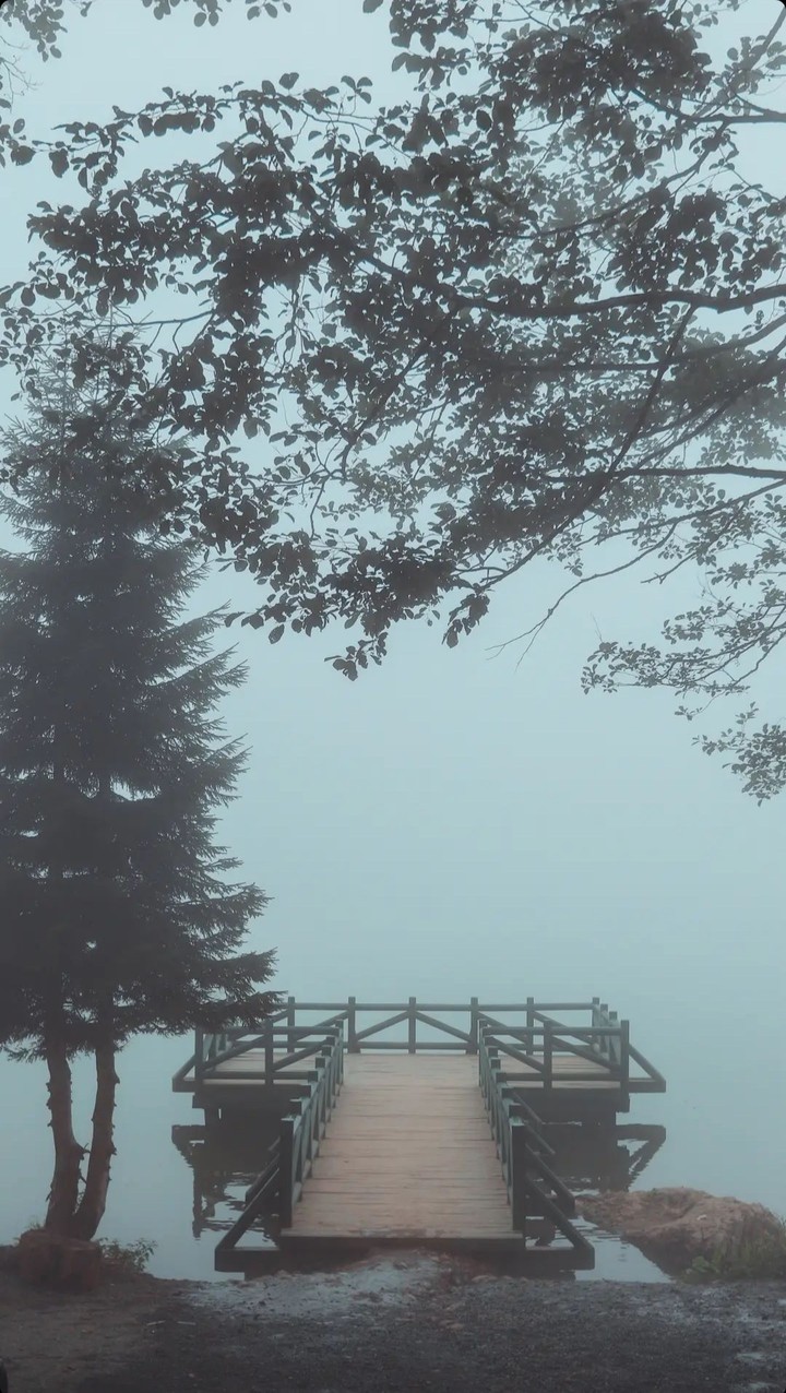 foggy weather Lakeside