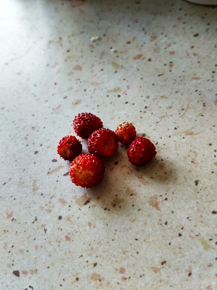 земляника
