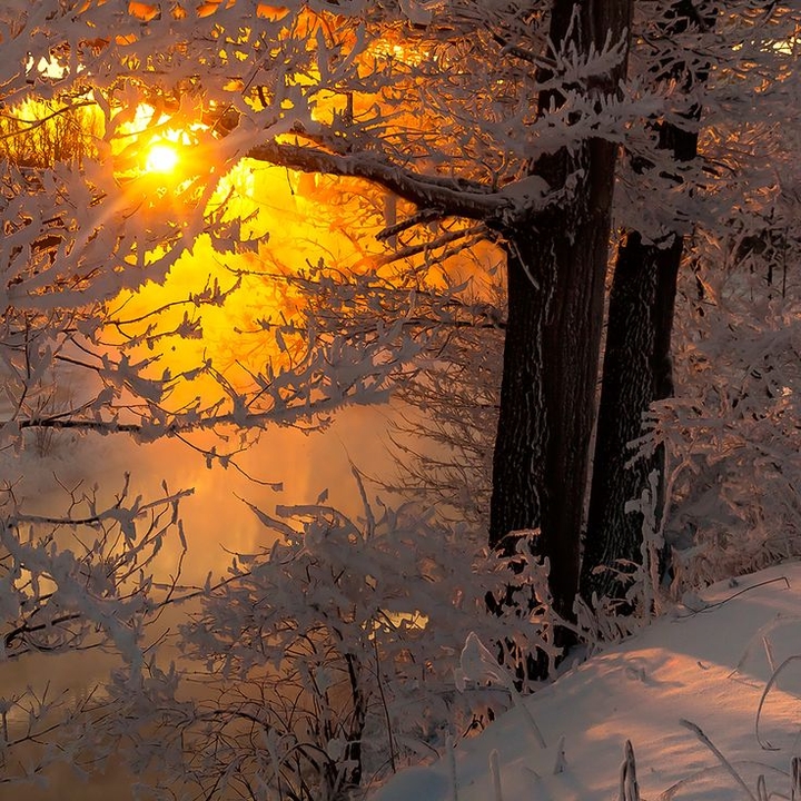 Winter