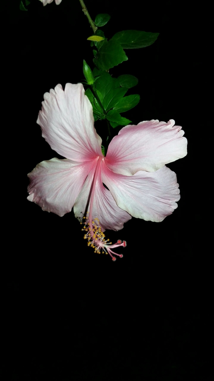 my photography