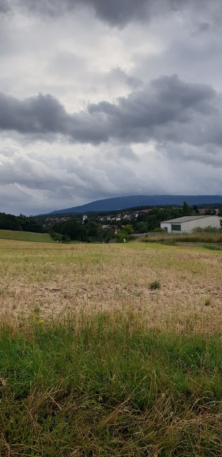 Bolanden