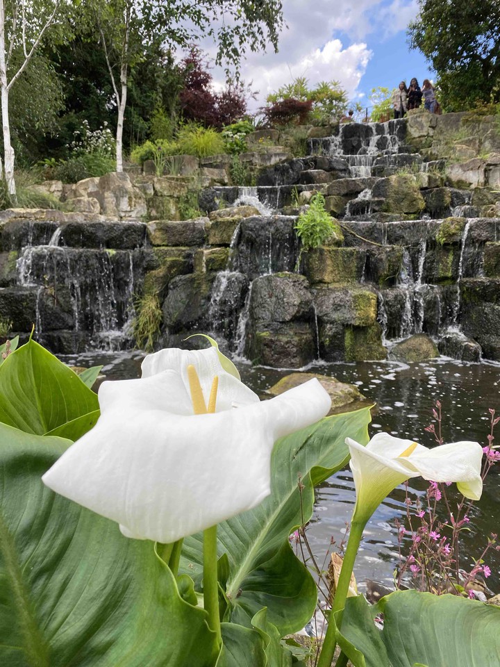 Japanese garden