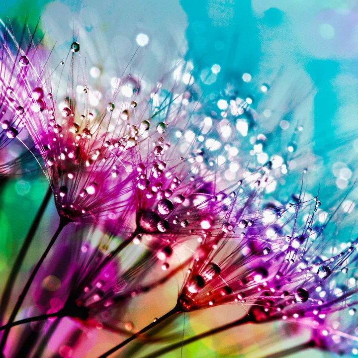Colors