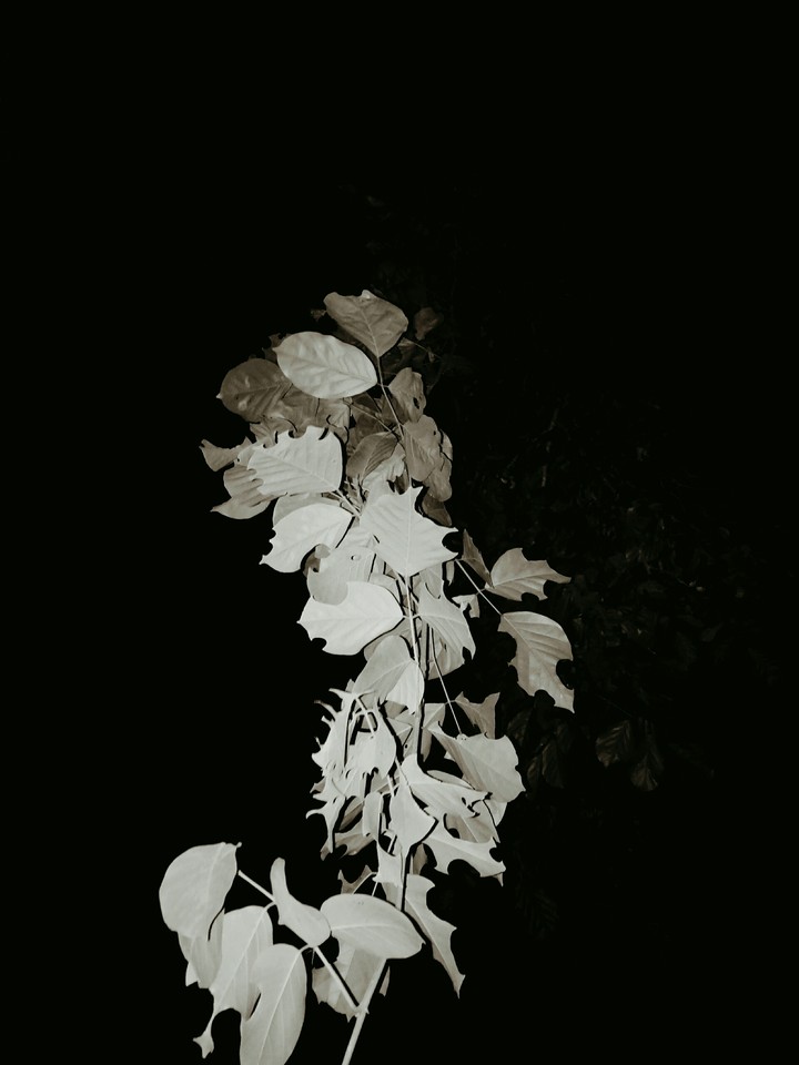 deep Black