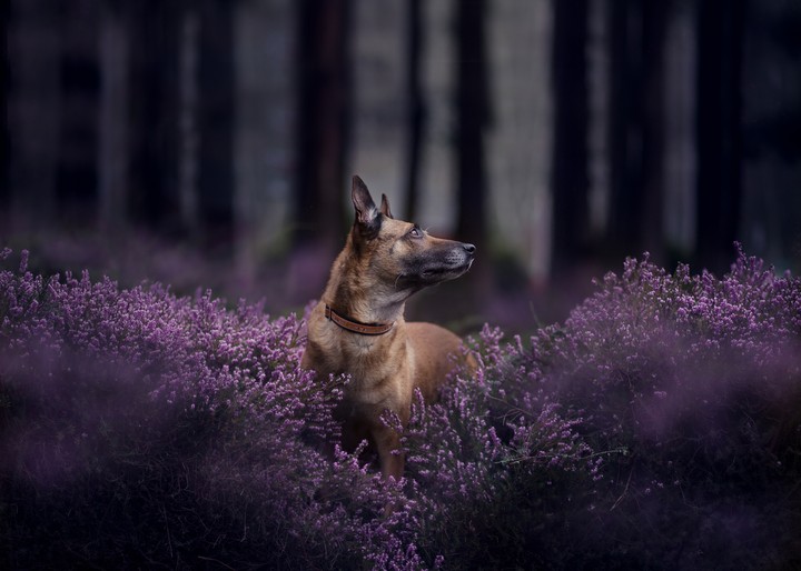 What an Amazing Click