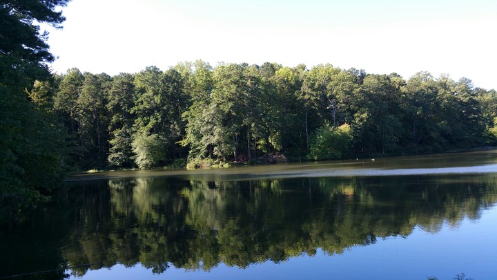 nature of lake