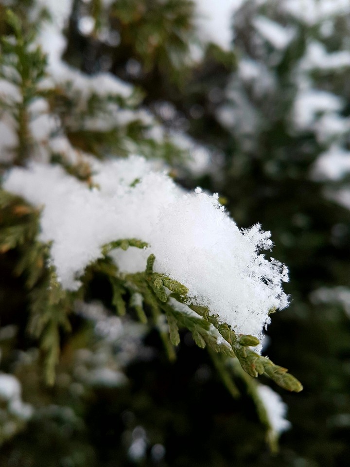 snow