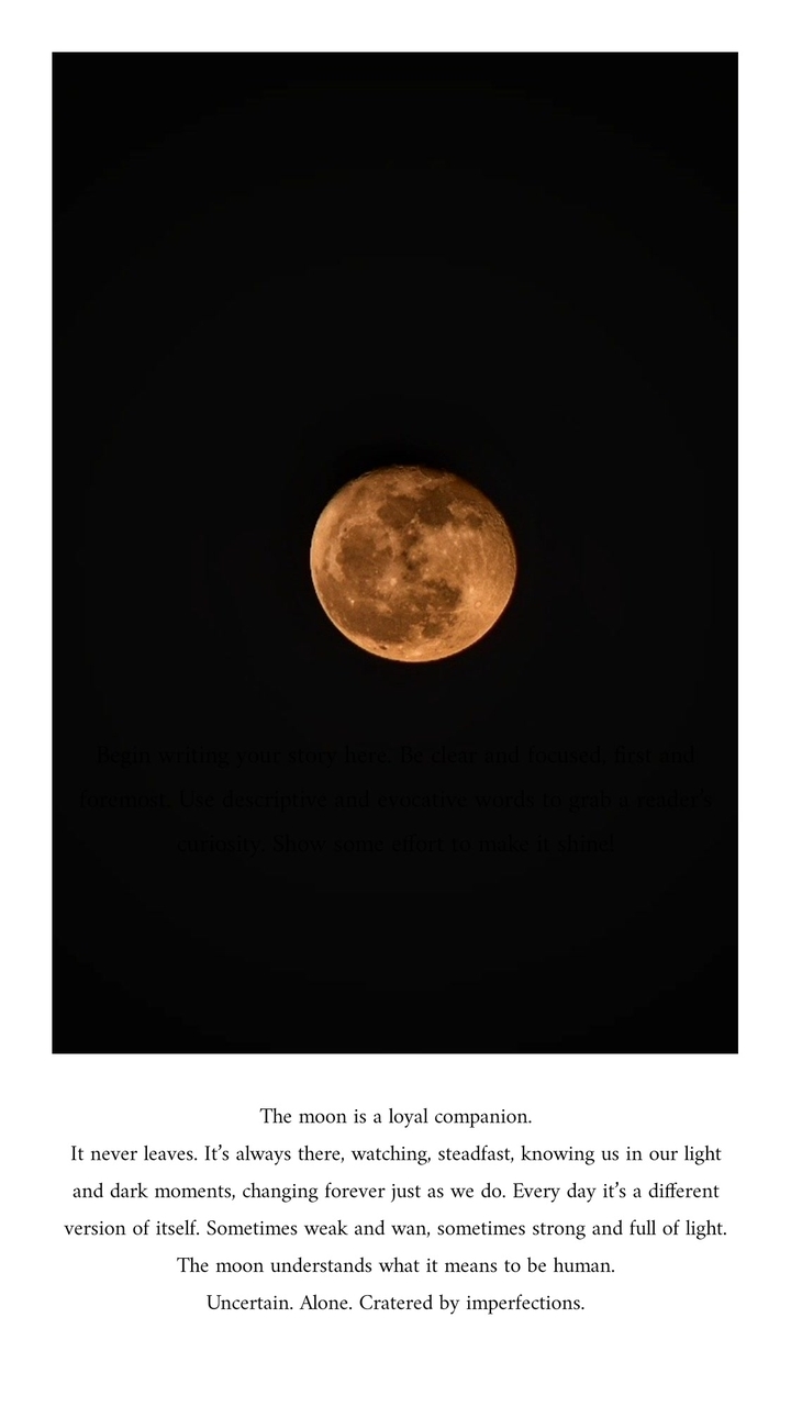The Moon
