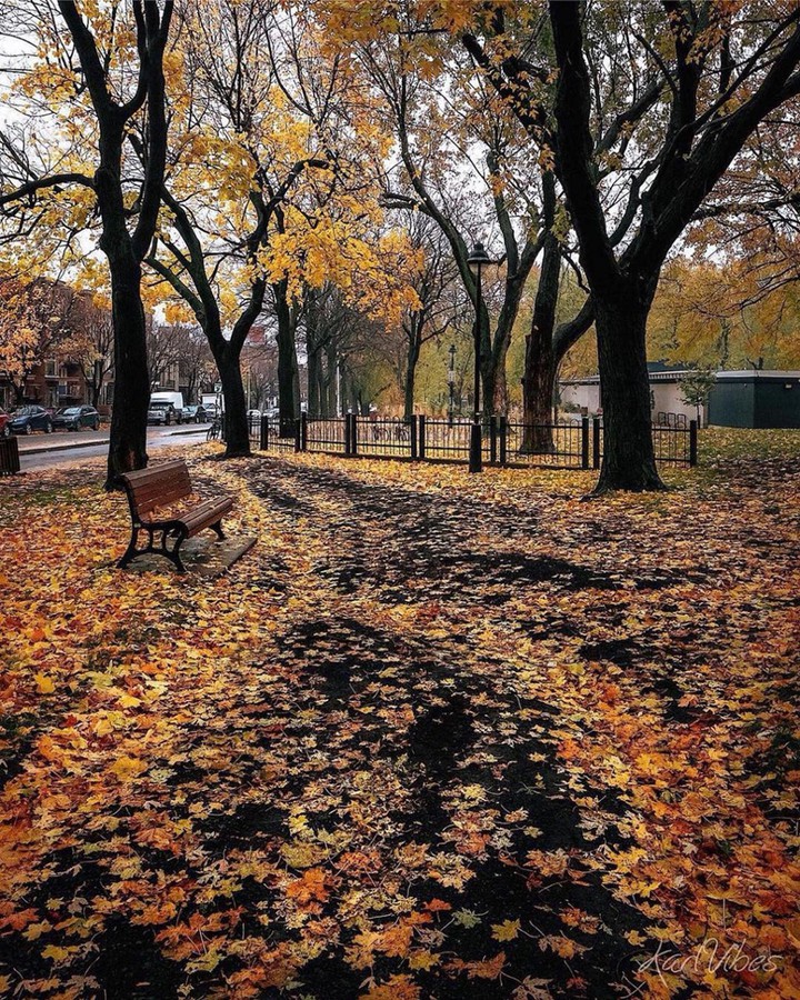 Autumn