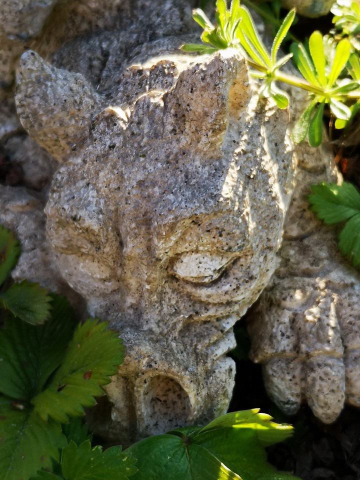 schlafender Drache, sleeping Dragon
