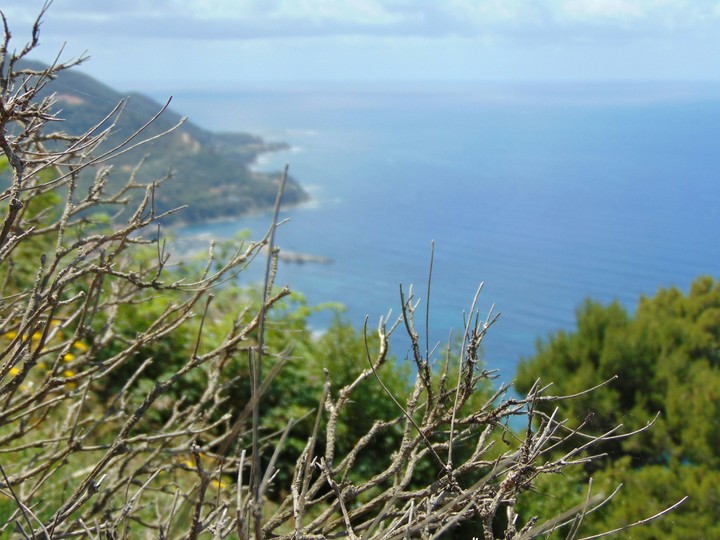 CASTELLABATE