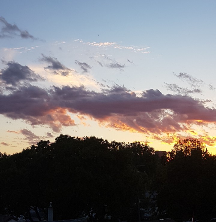 Evening Love