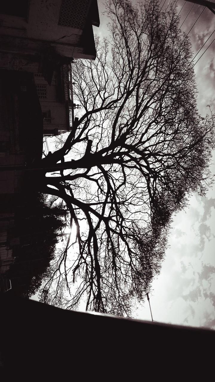 black and white