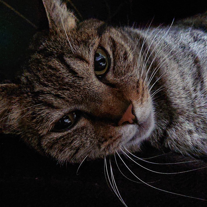 まったり