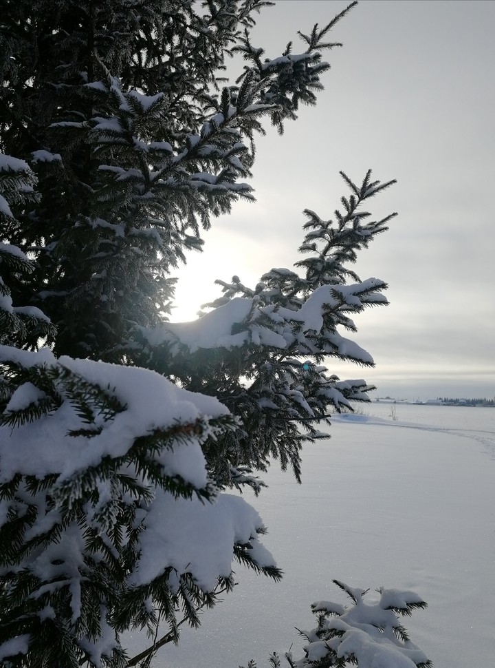 Snow