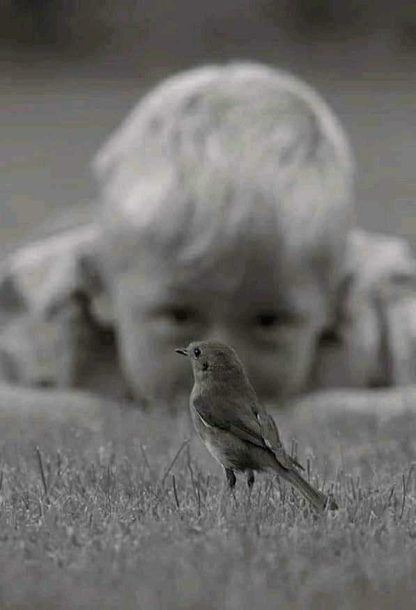 *