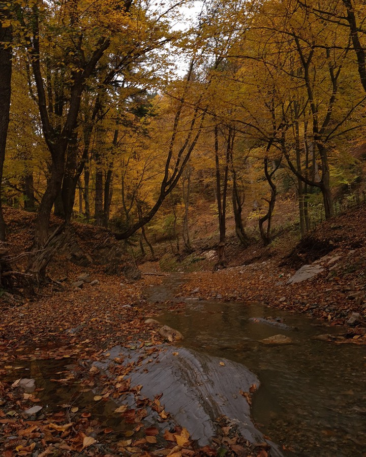 Autumn landscape