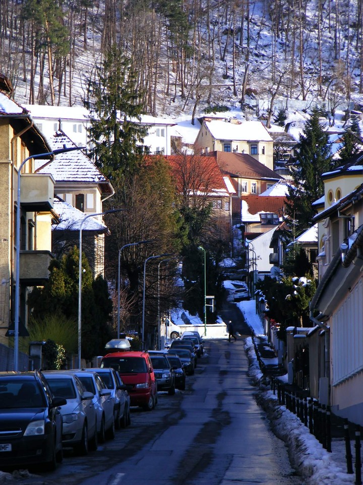 Str. Gh. Baiulescu