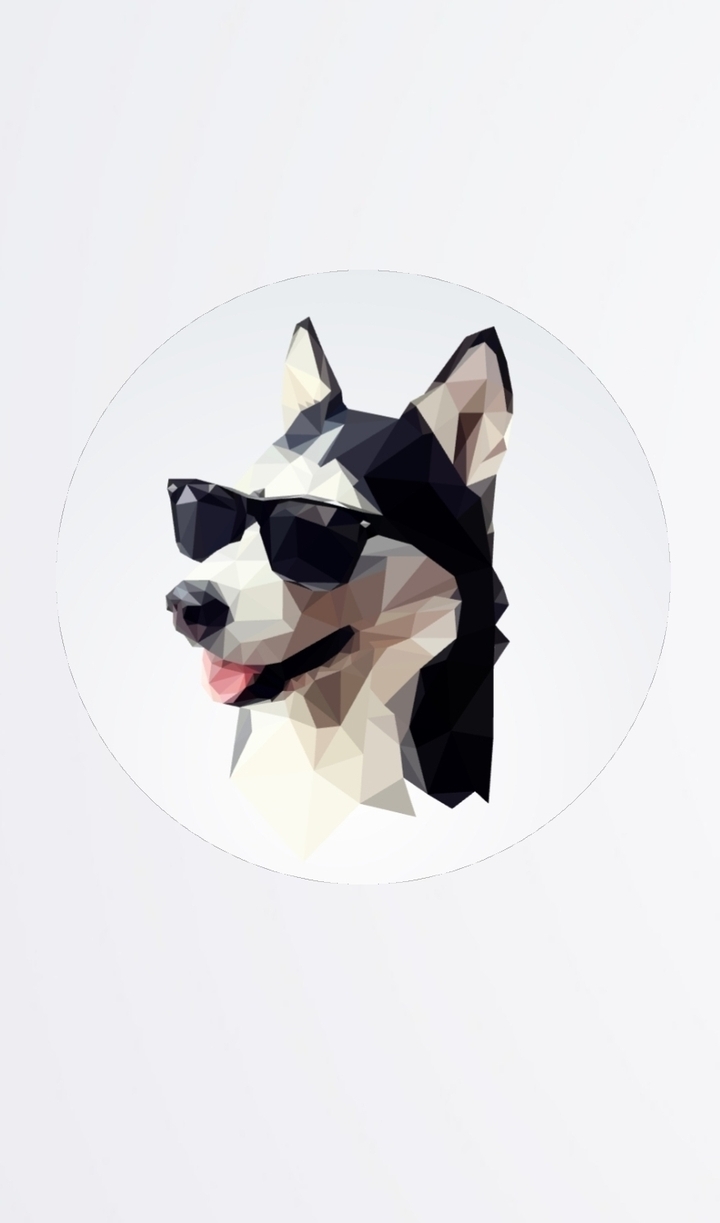 The Dog