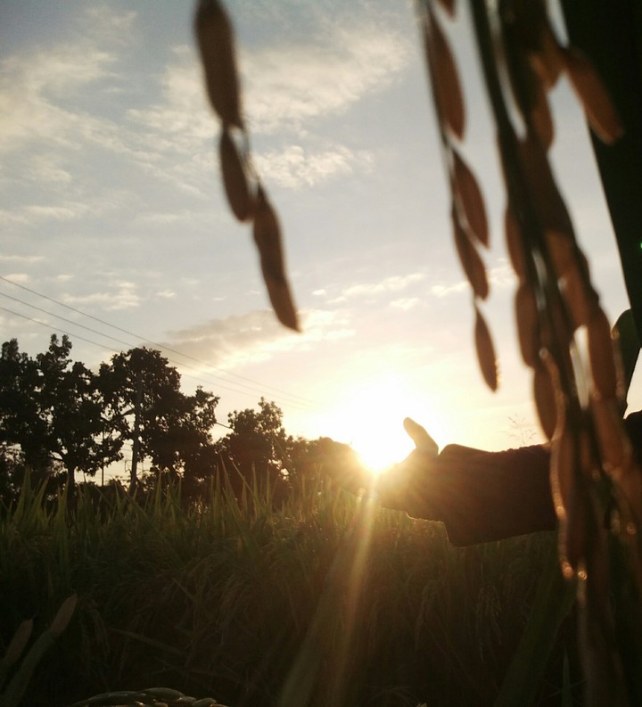 sunset feel