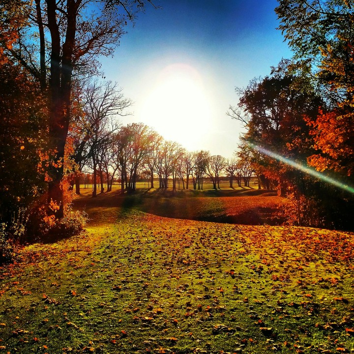 Fall Golf in Minnesota