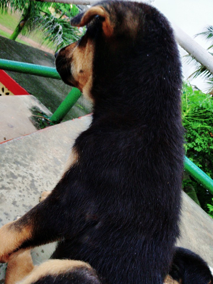 I M So Alone... ??