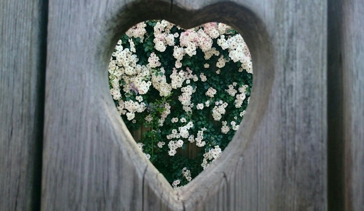 Heart