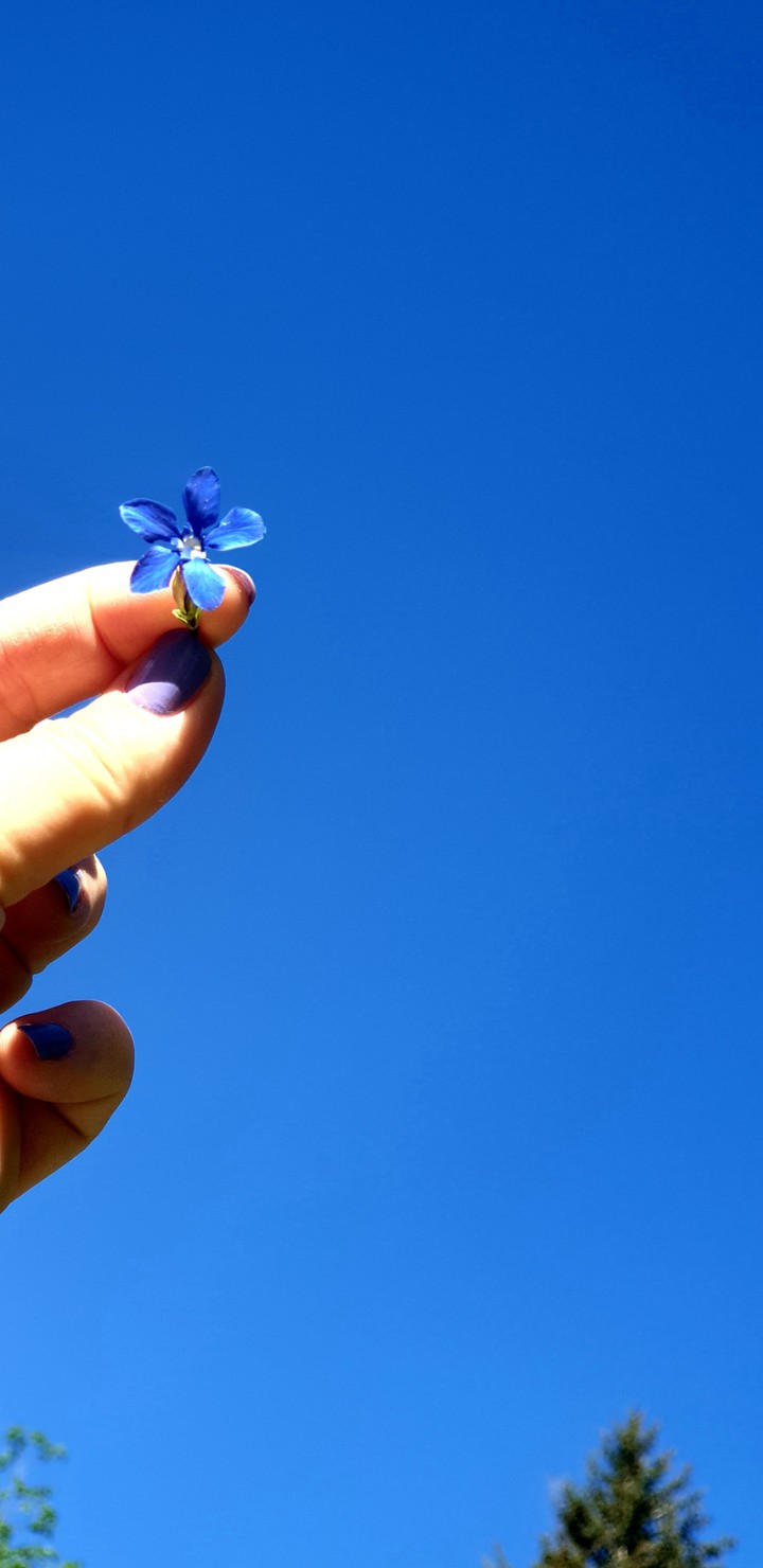 Blue as the sky