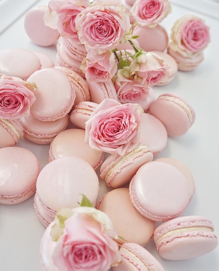 macarons Rose