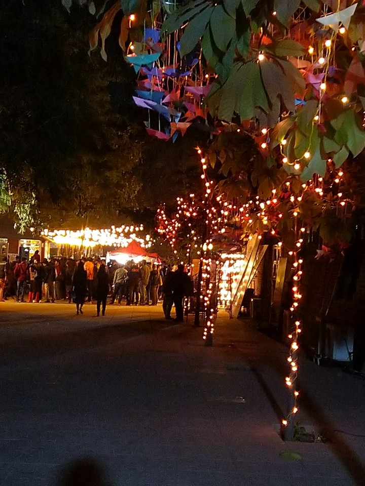 chaos festival