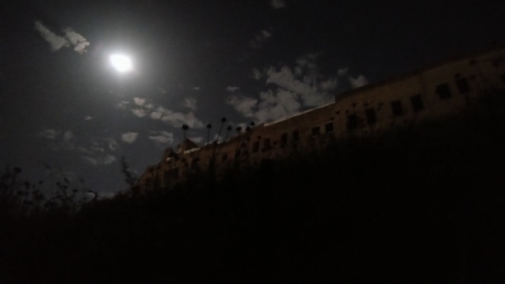 Erbil