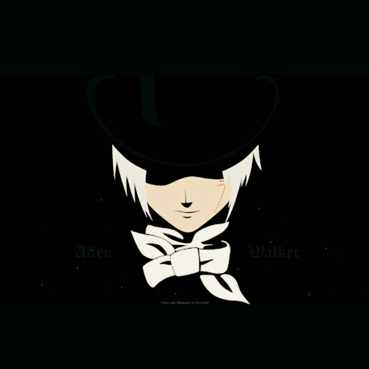 d'gray man