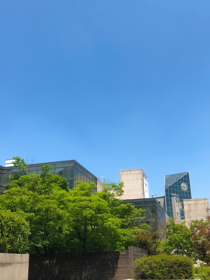 seoul sky