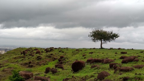 Blissful Nature