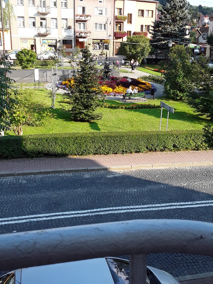 widok