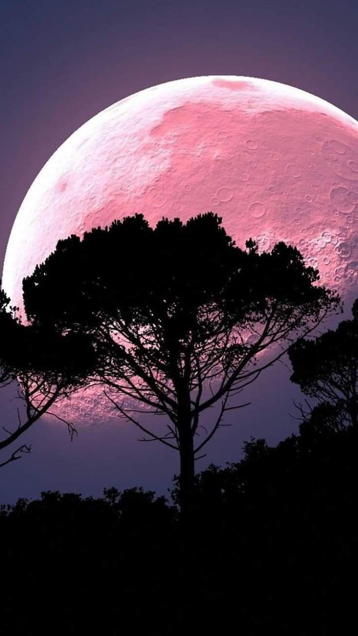 big moon