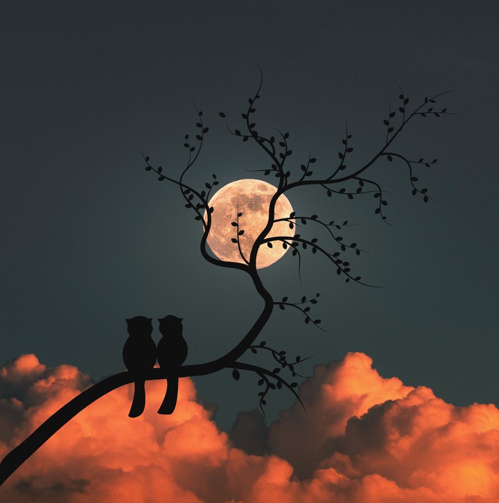 night owls