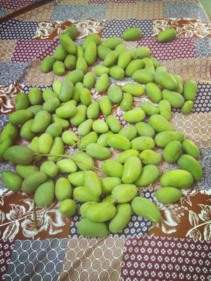 mango..#my tree..!!