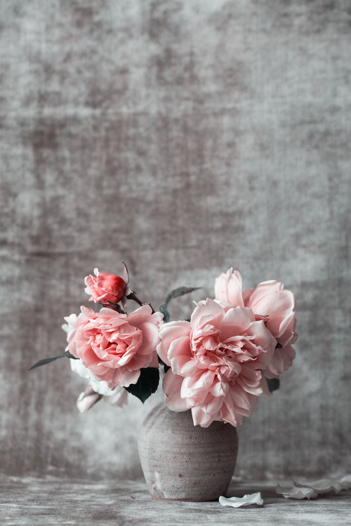 Pink Vase