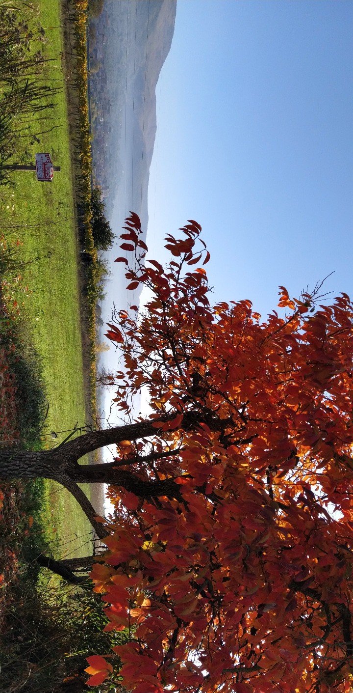 Autumn