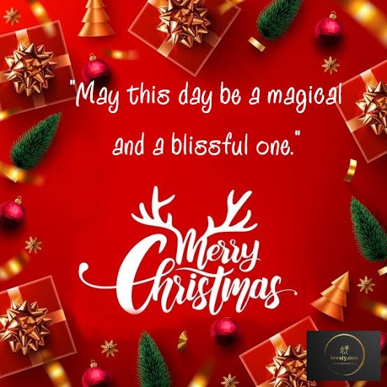 Merry Christmas!!
