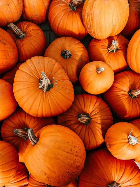 sfondi calabaza, pumpkin