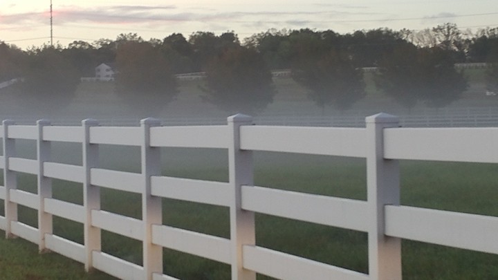 foggy morning