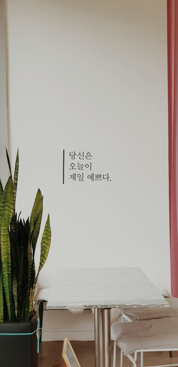 당신은 오늘이 제일 예쁘다
